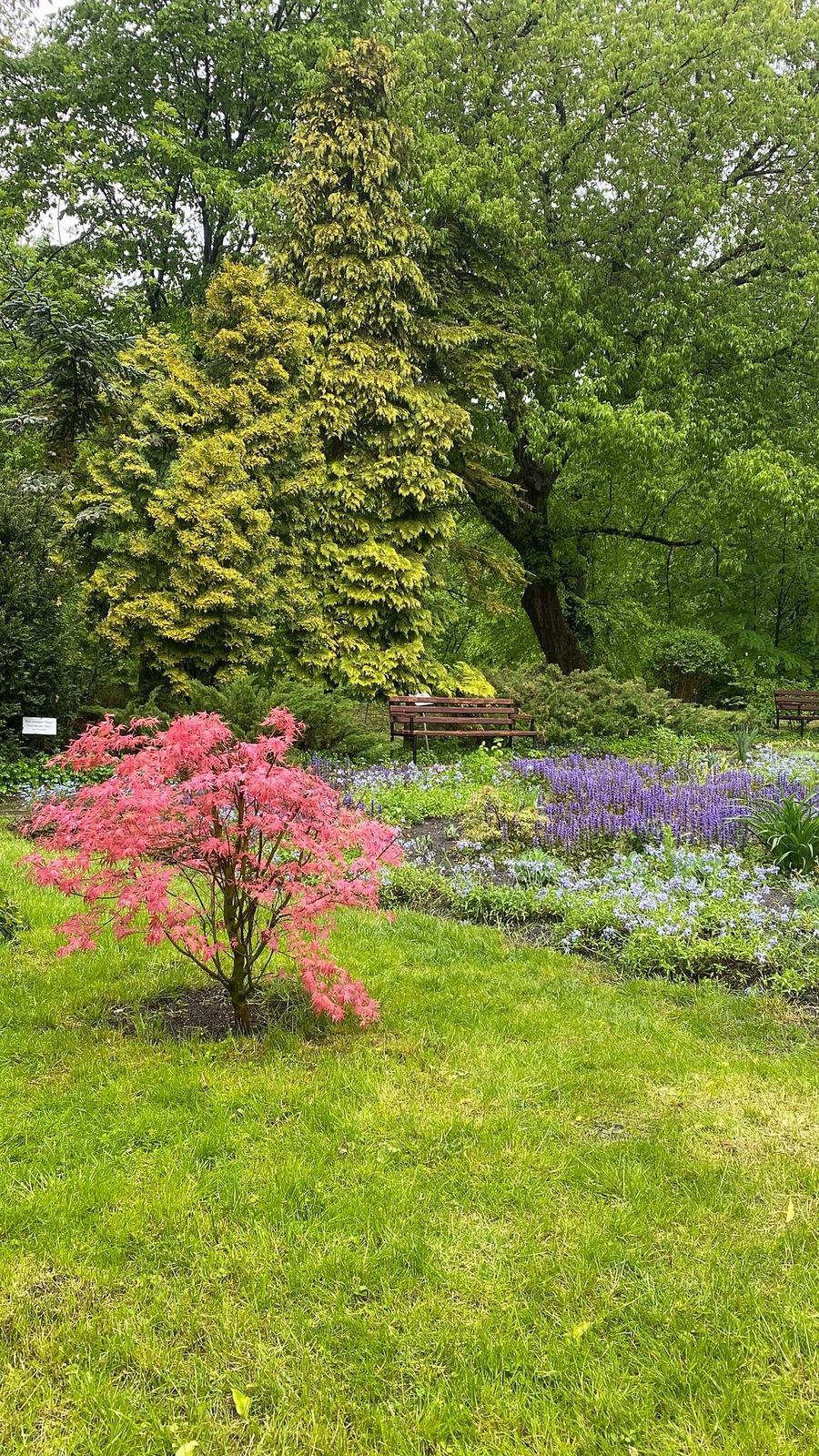 Dendropark