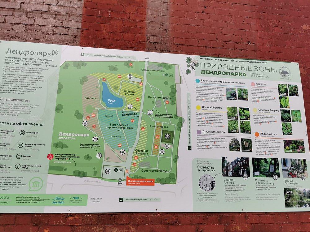 Dendropark gallery image 2