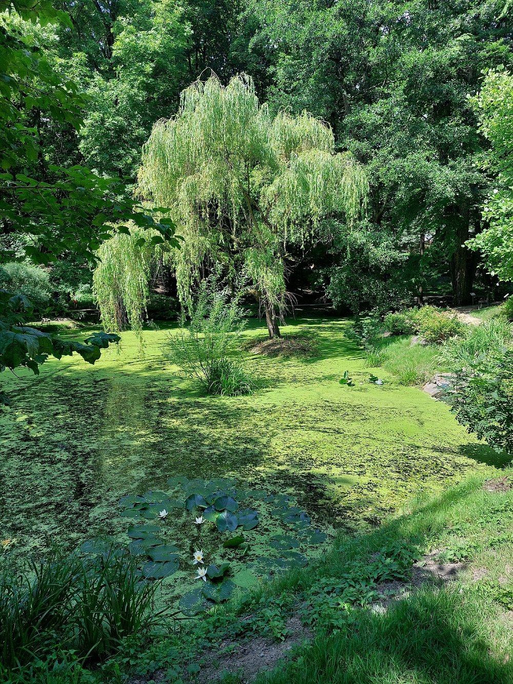 Dendropark gallery image 3