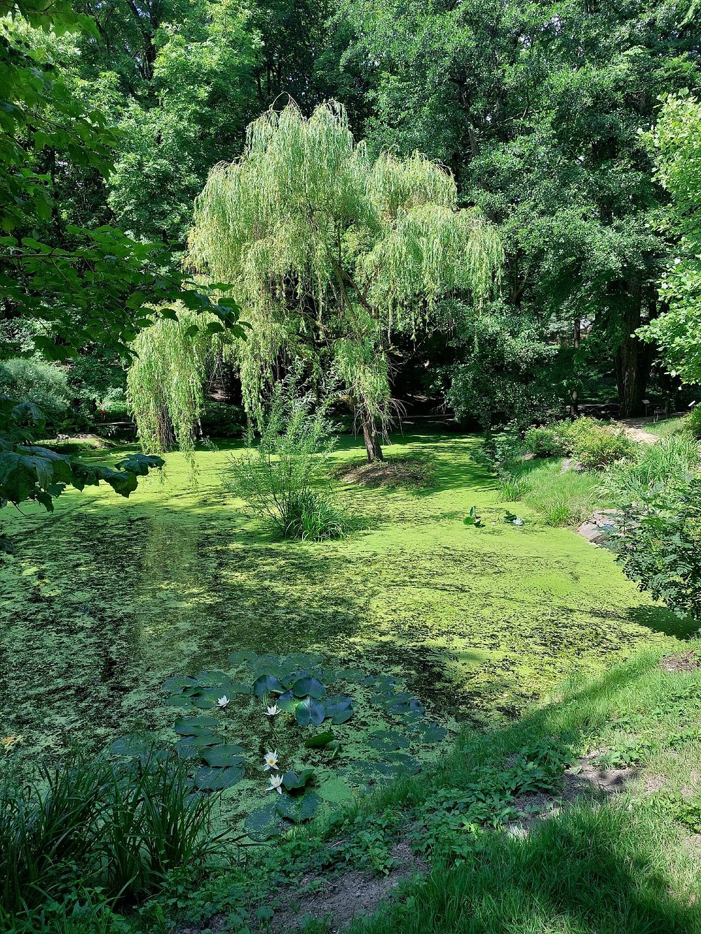 Dendropark gallery image 3