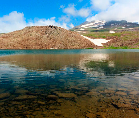 Kari Lake