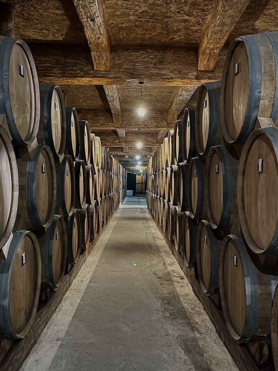 Noy Brandy, Wine & Vodka Factory gallery image 8