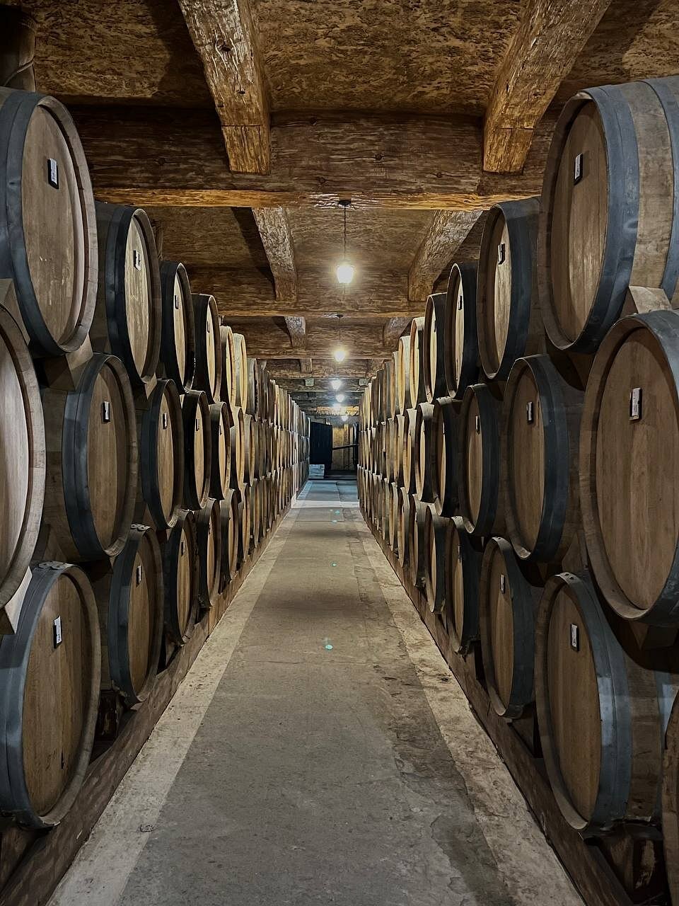 Noy Brandy, Wine & Vodka Factory gallery image 8