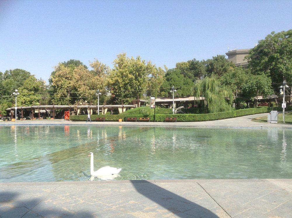 Swan Lake
