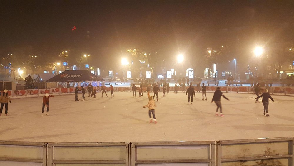 Swan Lake gallery image 4